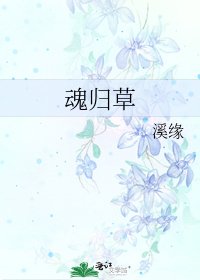 魂归草